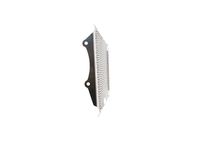 Evotech Kawasaki Z900RS Performance Radiatorcover (2018 - 2020) (Stainless Steel)