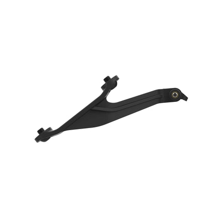 Evotech Footpeg Action Camera Montagesteun (achteruit gericht) - BMW S 1000 R (2021+) (Right-hand Side)