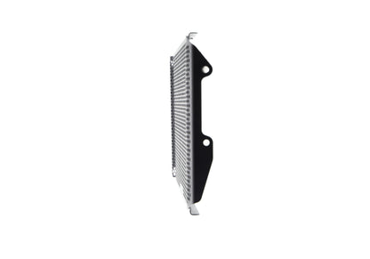 Evotech Yamaha MT-09 Radiatorcover (2017-2020)