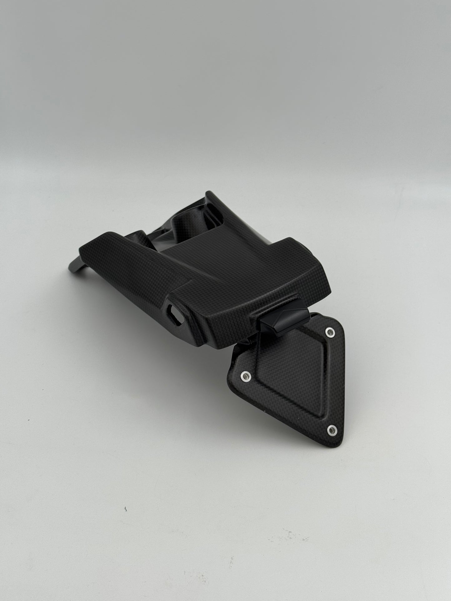 Numberplate -Halter Matt Carbon Ducati Multistrada V4 (2021+)