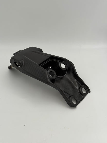 Numberplate -Halter Matt Carbon Ducati Multistrada V4 (2021+)