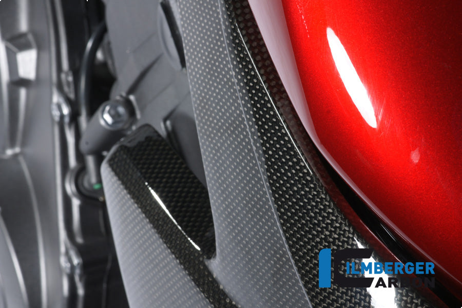 Radiator cover Links Carbon CB1000R Honda CB1000R (2008-2017)