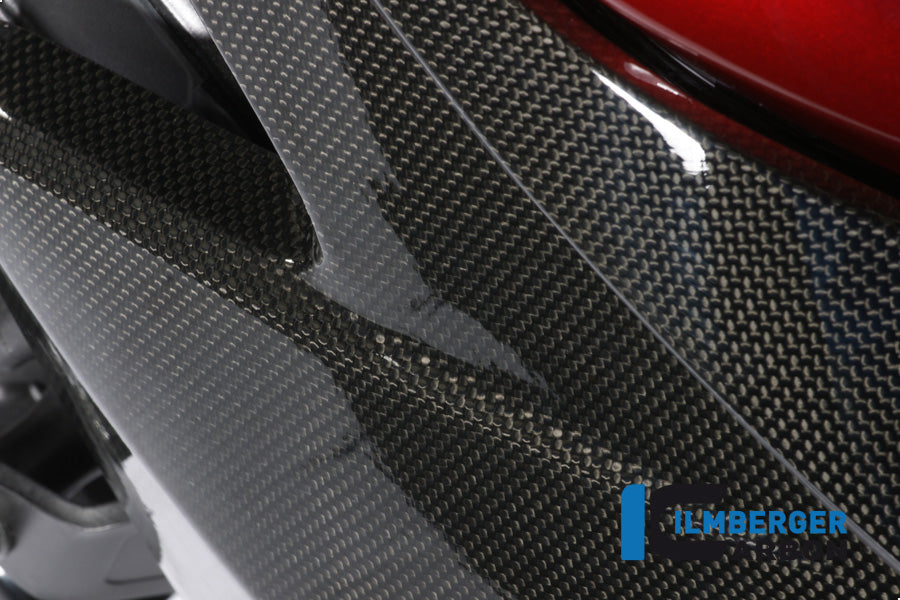 Radiator cover Links Carbon CB1000R Honda CB1000R (2008-2017)