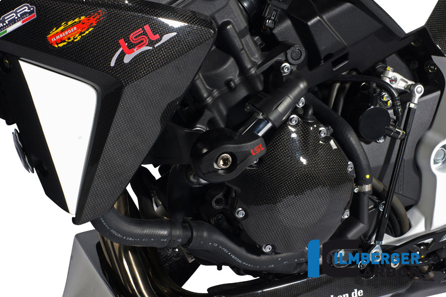 Cubierta de carcasa de encendido Carbon CB1000R Honda CB1000R (2008-2017)