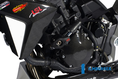 Cubierta de carcasa de encendido Carbon CB1000R Honda CB1000R (2008-2017)