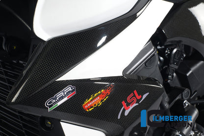 Radiator cover Links Carbon CB1000R Honda CB1000R (2008-2017)