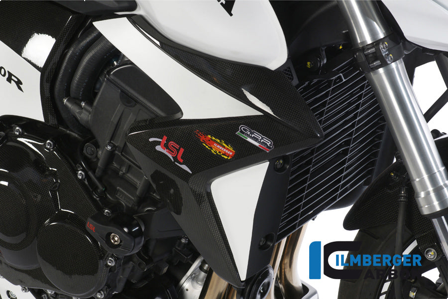 Kühlerabdeckung Rechtskohlenstoff CB1000R Honda CB1000R (2008-2017)