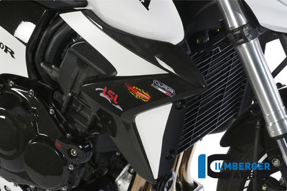 Kühlerabdeckung Rechtskohlenstoff CB1000R Honda CB1000R (2008-2017)