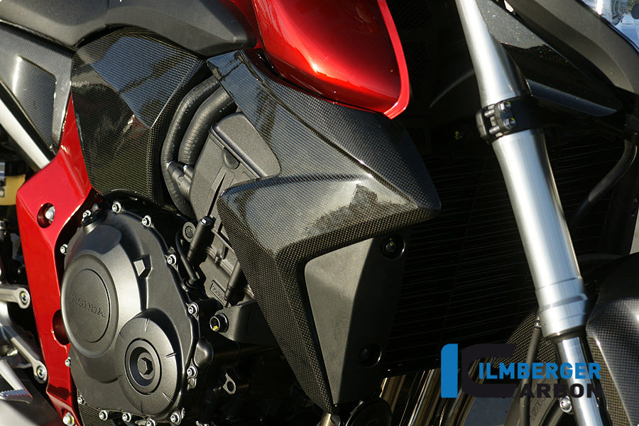 Kühlerabdeckung Rechtskohlenstoff CB1000R Honda CB1000R (2008-2017)