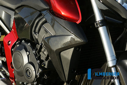 Kühlerabdeckung Rechtskohlenstoff CB1000R Honda CB1000R (2008-2017)