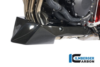 MotorSpoiler Carbon CB1000R Honda CB1000R (2008-2017)