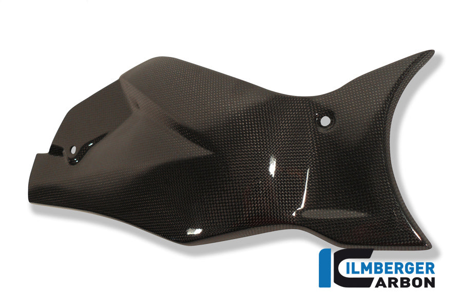 Heckschwingenabdeckung Carbon CB1000R Honda CB1000R (2008-2017)
