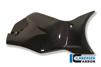 Heckschwingenabdeckung Carbon CB1000R Honda CB1000R (2008-2017)