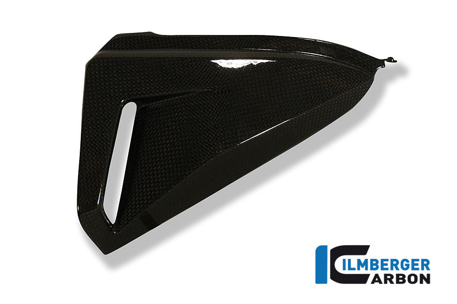 Side Panel Under Seat - Left Side - Carbon CB1000R Honda CB1000R (2008-2017)