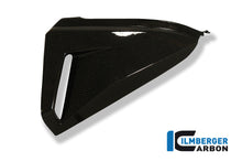 Side Panel Under Seat - Left Side - Carbon CB1000R Honda CB1000R (2008-2017)