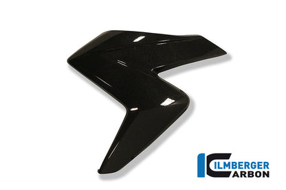 Radiator cover Links Carbon CB1000R Honda CB1000R (2008-2017)