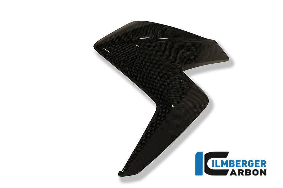 Radiator cover Links Carbon CB1000R Honda CB1000R (2008-2017)