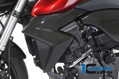 Radiator cover Links Carbon CB1000R Honda CB1000R (2008-2017)