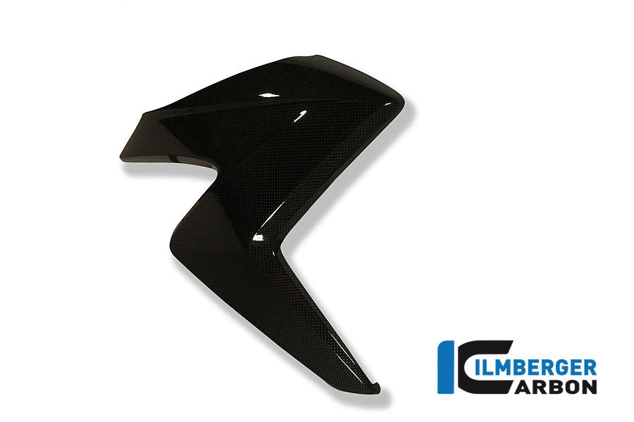 Kühlerabdeckung Rechtskohlenstoff CB1000R Honda CB1000R (2008-2017)