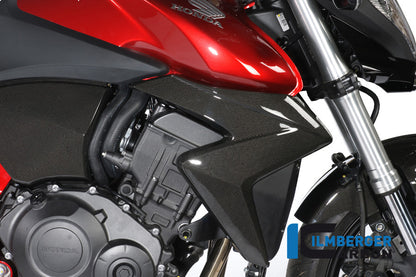 Kühlerabdeckung Rechtskohlenstoff CB1000R Honda CB1000R (2008-2017)