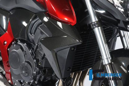 Kühlerabdeckung Rechtskohlenstoff CB1000R Honda CB1000R (2008-2017)