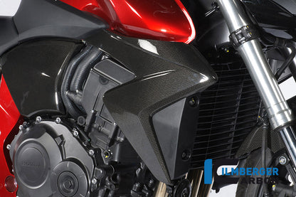 Kühlerabdeckung Rechtskohlenstoff CB1000R Honda CB1000R (2008-2017)