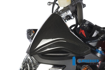 Windschutzscheibe Full Carbon CB1000R Honda CB1000R (2008-2017)
