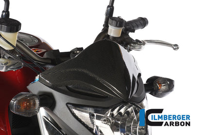 Windschutzscheibe Full Carbon CB1000R Honda CB1000R (2008-2017)