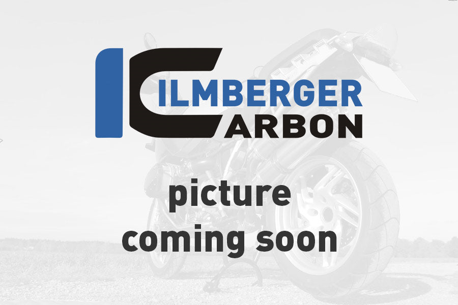 Duoseat Cover glanzend carbon R12 G/S (2025+)