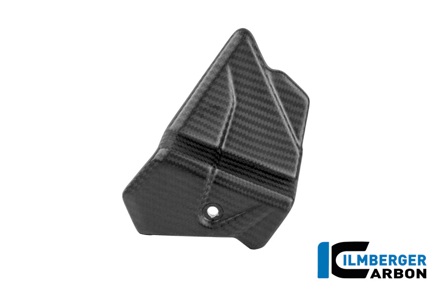Kabelcover mat carbon BMW S 1000 RR (2023-2024)