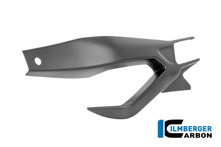 Achterbrug beschermer links mat carbon BMW M 1000 RR (2025+)