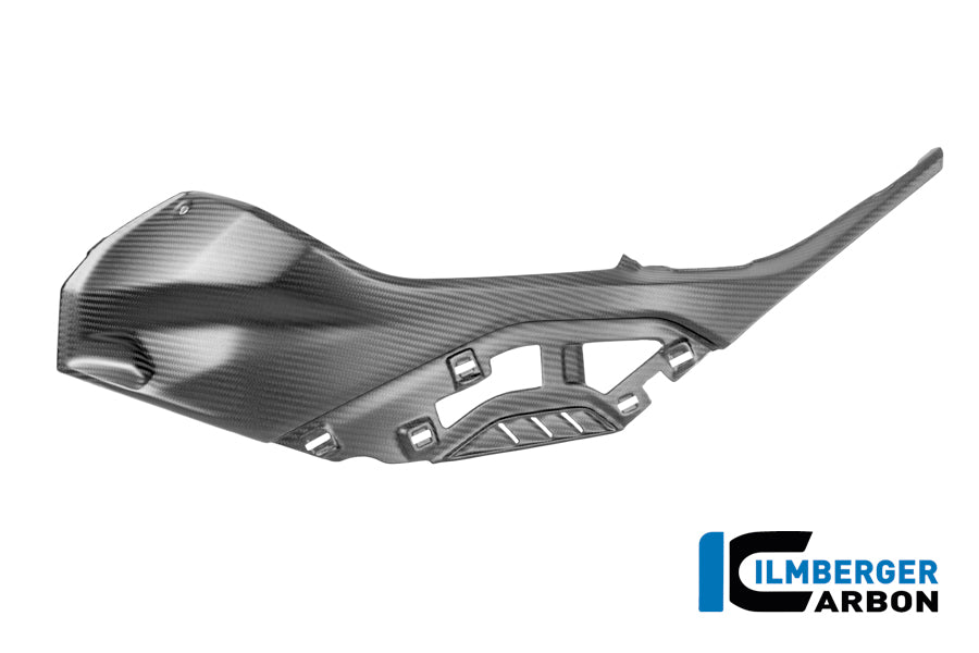 Tank zijpaneel links met bevestiging voor gespoten originele panelen mat carbon BMW M 1000 R (2025+)