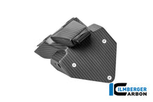 Kentekenplaathouder mat carbon BMW M 1000 RR Street (2021-2022)