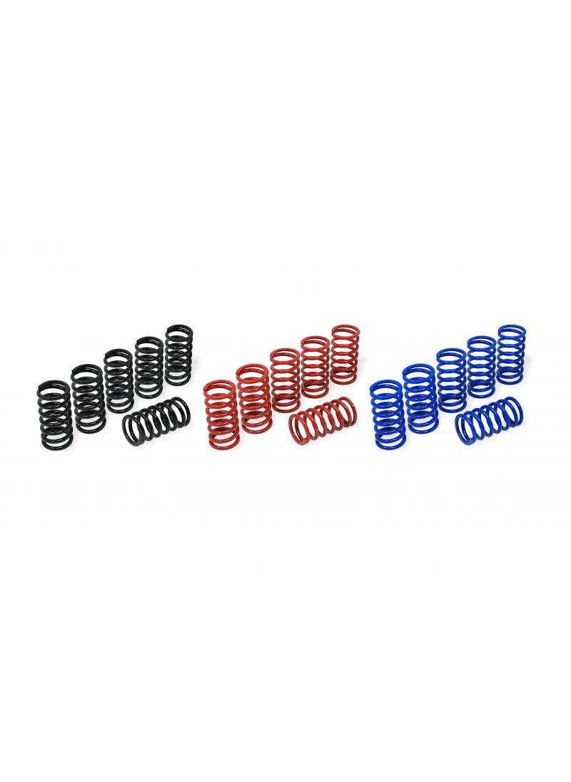 Clutch Spring Kit H45 for BMW S1000RR BMW S 1000 RR Racing (2015-2016)