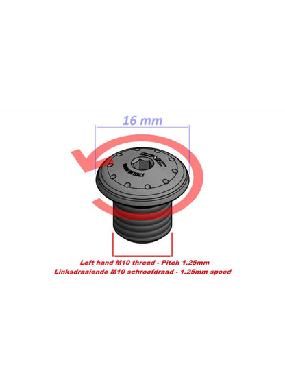 Spiegelvervanger bout M10x1.25 linksdraaiend BMW F450GS (2026+)