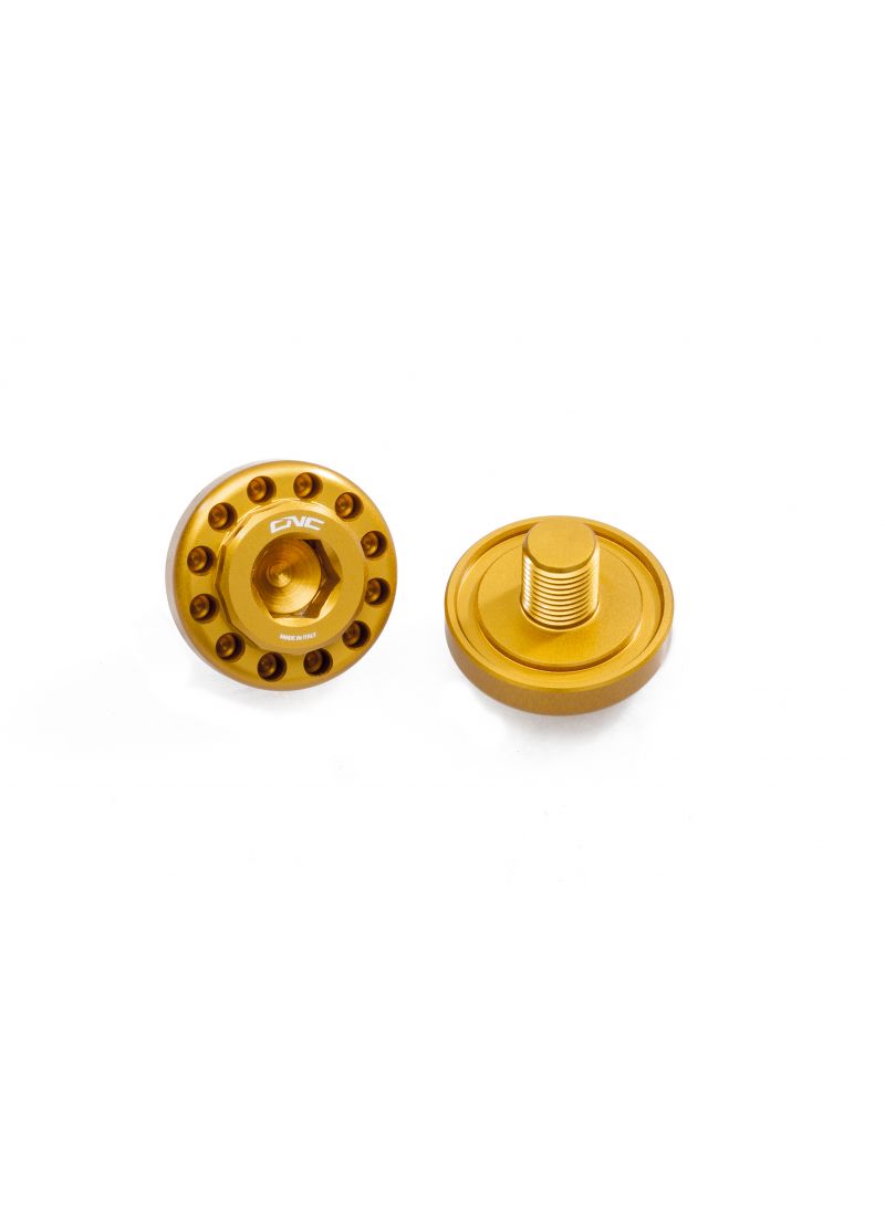 Central Bolt Kit (2 PCS.) For Rearsets Ducati Ducati Scrambler flat tracker Pro (2016)