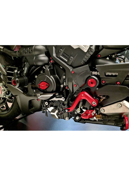 Generator Crank Case Protector - Ducati Diavel V4 2023+