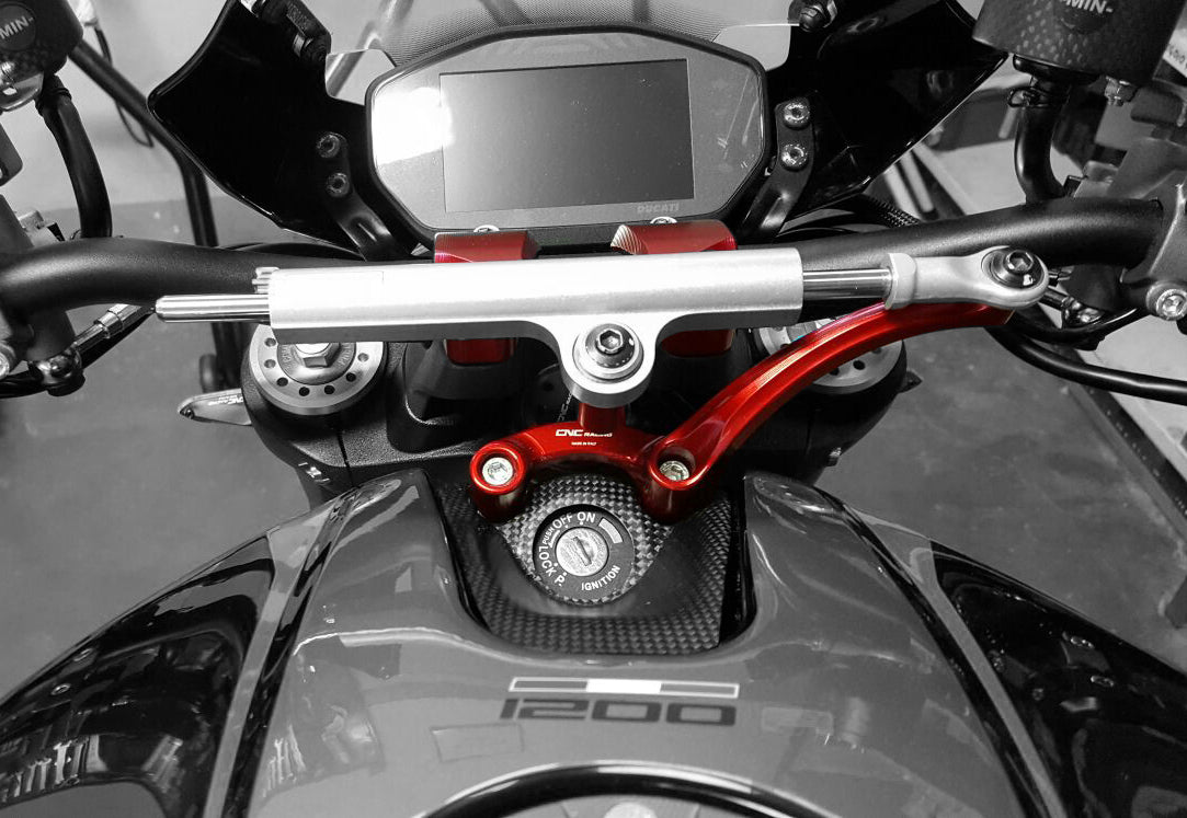 Steering damper mounting set Monster 1200 25 Anniversario (2020)
