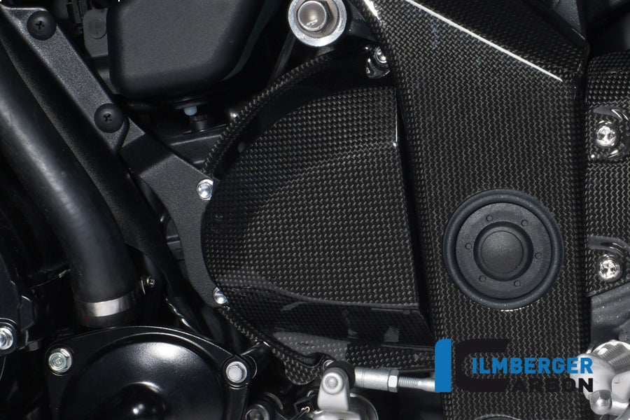 Cubierta de la rueda de la rueda dentada delantera Velocidad del triunfo de carbono Triple 1050 (2011-2015)