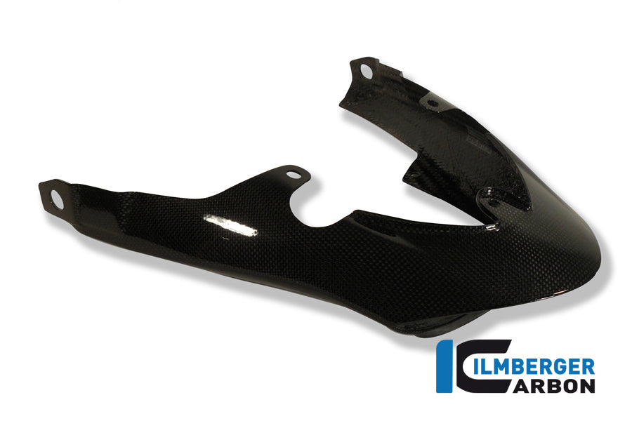 Rear light panel Carbon Triumph Speed ​​Triple (2011-2015)