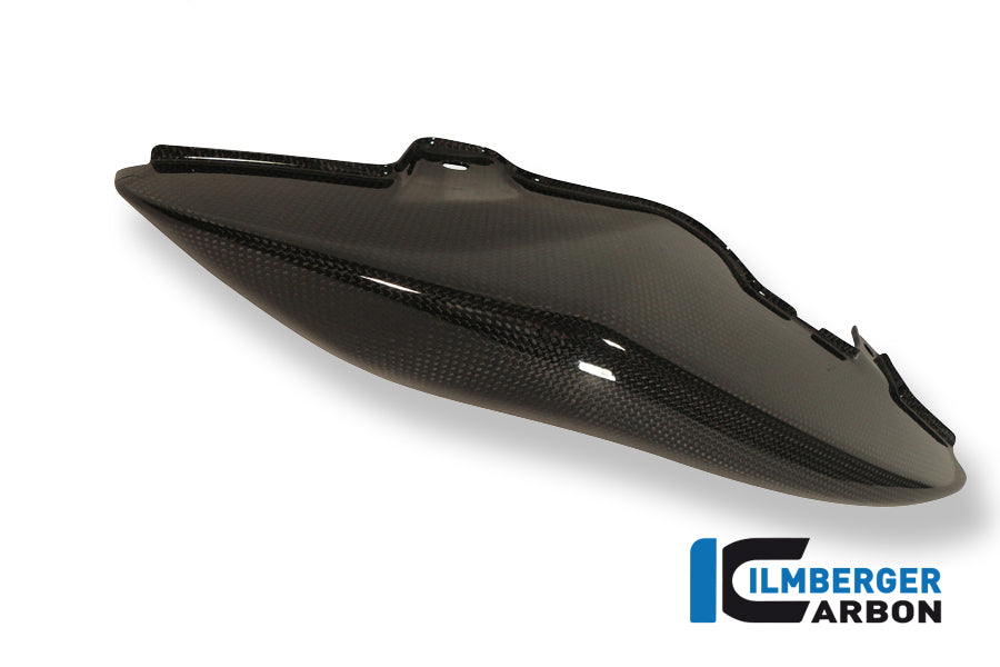 Carbon Side Panel Under Seat - Left Side - Triumph Speed ​​Triple 2011-2015 Triumph Speed ​​Triple (2011-2015)