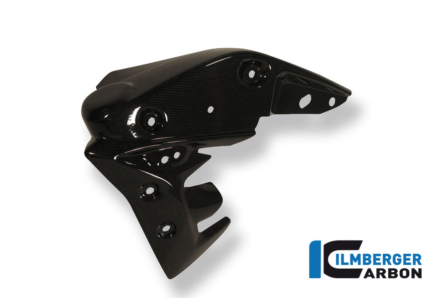 Radiator Cover Links Carbon Triumph Speed ​​Triple (2011-2015)