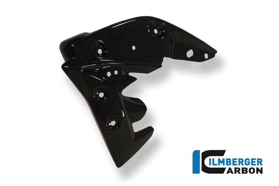 Radiator Cover Links Carbon Triumph Speed ​​Triple (2011-2015)