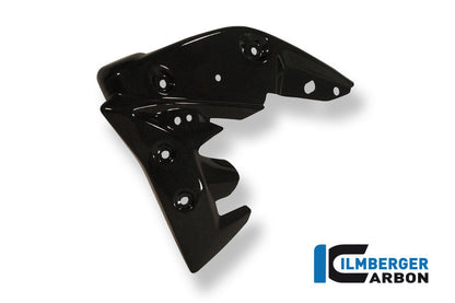 Radiator Cover Links Carbon Triumph Speed ​​Triple (2011-2015)