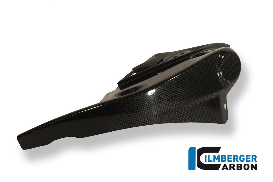 Radiator Cover Links Carbon Triumph Speed ​​Triple (2011-2015)