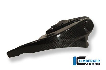 Radiator Cover Links Carbon Triumph Speed ​​Triple (2011-2015)