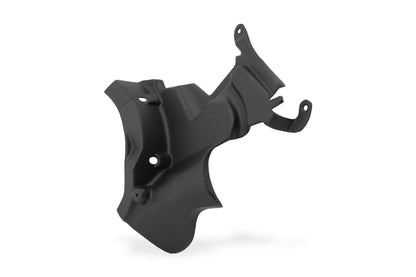 Carbon clutch cover panel-Ducati Streetfighter V2 (2022-2024)