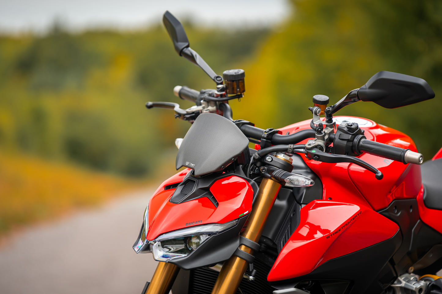 Windscherm mat carbon Ducati Streetfighter V2 (2025+)