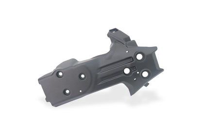 Motorblokbeschermer mat carbon Ducati Streetfighter V4 (2025+)