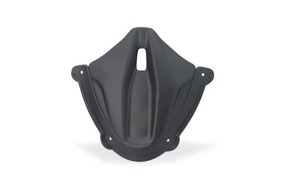 Matt carbon panel under the windshield Ducati Panigale V4 (2025+)